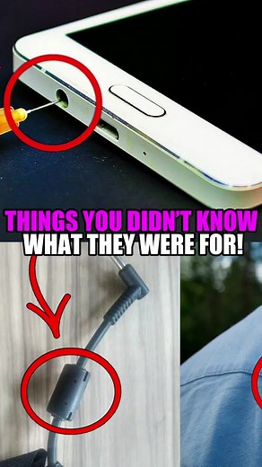things you didn't know what they were for! #curiosities #facts #craziest #tiktokeducation