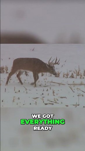 Epic Moment: Perfect Shot of an 8-Point Buck
