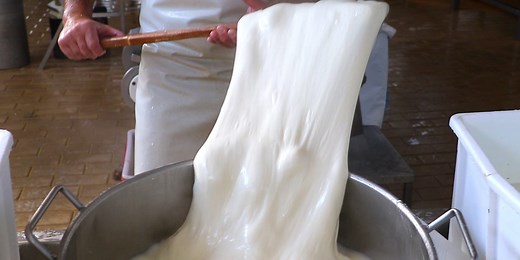 We visited an Italian cheese factory where mozzarella is dunked and braided in 10 litres of milk