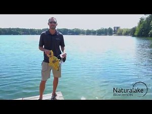 How to Use a Secchi Disk to Measure Water Quality