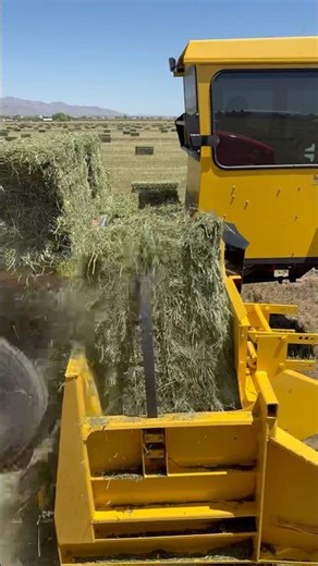 Summer funner. #tractor #farming #truck