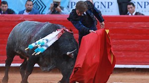 Tendido Cero - 25/11/17