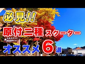 【原付二種】バイク通勤に適したオススメスクーター6選【125CC】