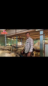 50K views · 1.5K reactions | Bakreid Spl rams | Kannada Nudi | Facebook