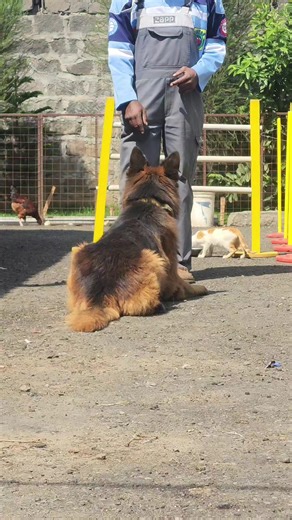 Practice makes perfect.