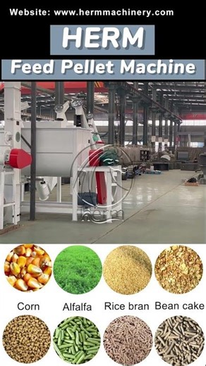 Automated 3-4T/H Feed Production Line | Smart Solution for Modern Feed Mills! #pigfeedmill