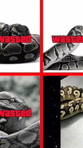 your python VS My python 💀 #programming #coding #viral #cs #computer