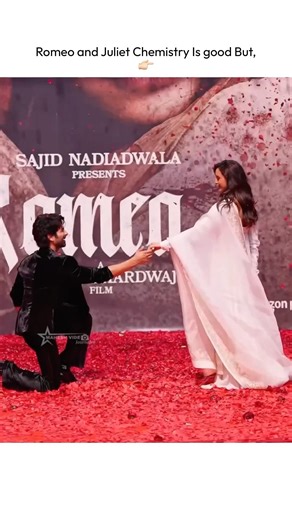 Shahid Kapoor and Tripti Dimri Chemistry is Good But, #romeo #shahidkapoor #triptidimri #lailamajnu