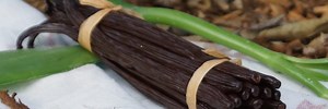 Divine Vanilla - Australian grown vanilla beans and vanilla products