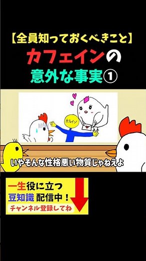 カフェインの効果は●時間続く？☕️一生使えるカフェインの知識①🐤🐔 #コーヒー #カフェイン #眠気覚まし #豆知識 #雑学