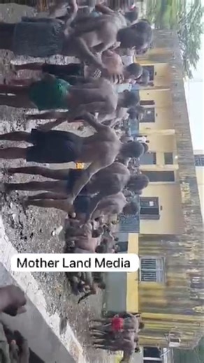 Mass violation of human rights by arm forces loya to president #paulbiya of #cameroon Violation grave et massive des droits humains au #Cameroun #Cameroon #PresidentialElections Donald J. Trump The White House CNN FRANCE 24 TV5MONDE Afrique Emmanuel Macron RFI | Mother Land Media - MLM | Facebook