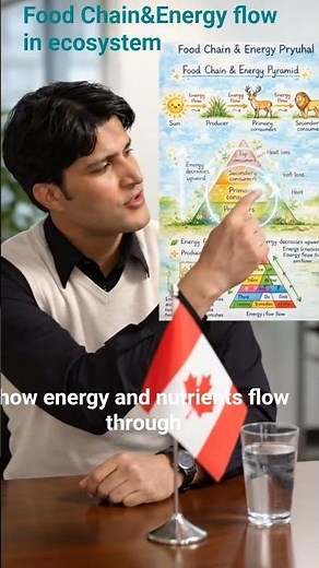 Food chain @swatscience_RU#farming ecosystem#canadadiaries#ecology #energyflow#Biology