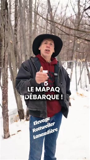 queue coupée disponible ici #rottweiler #puppy #rottweilerpuppy #rottweilerpup #rottweilers