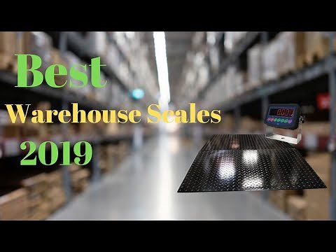 5 Best Scales for Warehouses