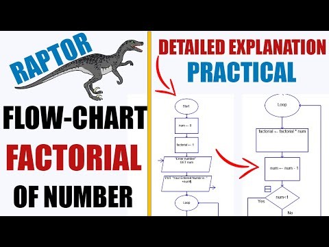Raptor Finding Factorial of any Number |Practical