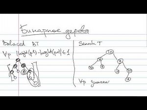 Базовая теория о бинарных деревьях. Определения size, height, balanced, search tree, heap. На 1.5х