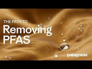 The Path to Removing PFAS