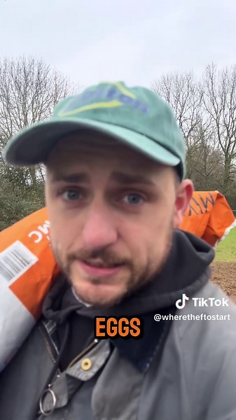 Collecting and Grading Eggs on My Small Farm