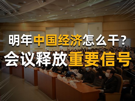 深度解析！2024中国经济怎么走？官方怎么说?【特别分子Mark】