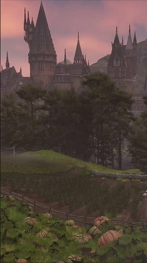 Autumn at Hagrid’s Hut 🎃 | Cozy Pumpkin Patch Ambience #Shorts