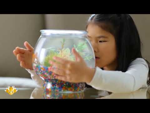Learn Vietnamese for Kids: Animals | Online Vietnamese Lessons for Children