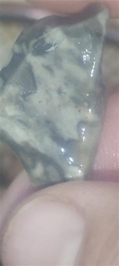 Check out the Swirls in this Chert Rock