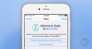 How breeding rare giant sea snails could save the Great Barrier Reef