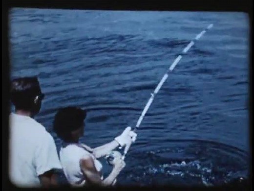 78K views · 1.7K reactions | #TBT means a new IGFA Historic Video...