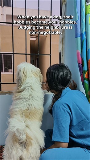 Just pet parent things. #Shorts #DogHumor #LifeWithDogs #NeighbourhoodWatch #everydaymoments