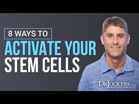 Stem Cells: What Are They and 8 Ways to Activate Them
