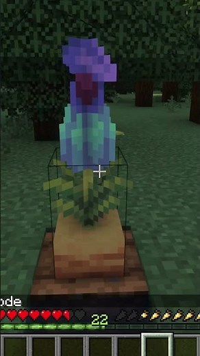 How to Get Torch Flowers and Pitcher Plants Fast!