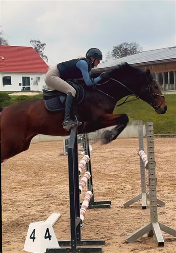 Celebrating Equestrian Style in Show Jumping