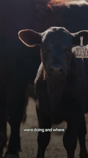 Ambrook Inventory: Inventory + Accounting, Finally in Sync