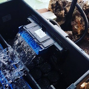 2.1K views · 35 reactions | Oggi avviamento Biotec Screenmatic 140000 con Bitron c 110w #oase #biotec #screenmatic #filtrokoi #filtrokoipond #filtrooase #filtrolaghetto #koipond #koifish #gardensandkoi #gardenskoi #expo | Gardens & Koi | Facebook