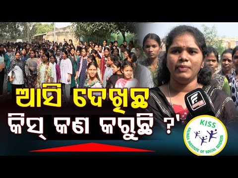 🔴LIVE: ଆମେ ବୁଲାବୁଲି କଲାବେଳକୁ ସେମାନେ ଆମକୁ ବହୁତ ହଇରାଣ କରୁଛନ୍ତି ll FOCUS PLUS ||
