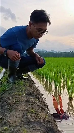 Primitive Survival: Trapping a Giant River Crab for Food | Wilderness Skills