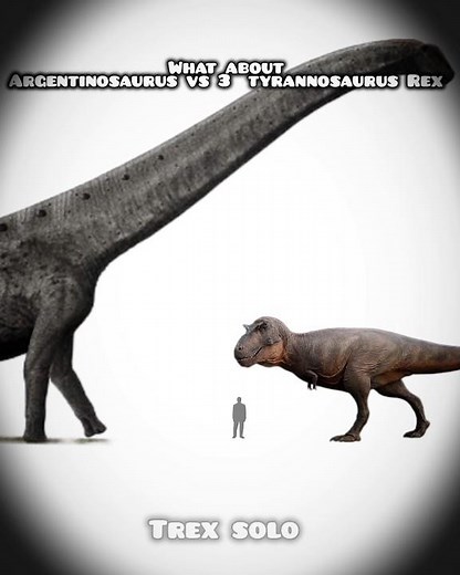 what about argentinosaurus vs 3 tyrannosaurus Rex #dinosaur #trending #jurassicworld #information