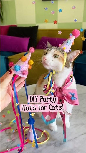 🥳🎉🎂 DIY party hats for cats! Super easy craft! #craft #hobby #diy #partyhat #cat