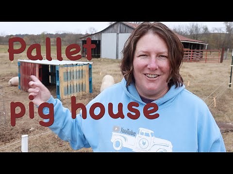 How we built a Pig House for UNDER $40 in LESS THAN one hour!