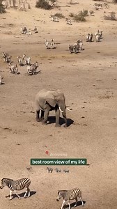 Nature #NatureEscape #SafariExperience #safari #adventure #wildlife | Safari Travel