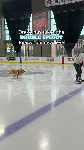 Drake Mastering the Double Sploot in Hockey TikToks