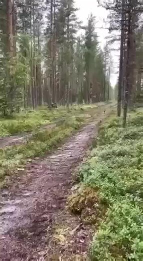 RafaMontoya Adarraga on TikTok