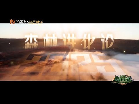 《森林进化论2025》综述片：新老玩家应召而至 运筹帷幄书写进化故事 | Forest Evolutionism 2025 | MangoTV