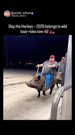 Quickshot on Instagram: "DM for credit and removel The clip showcases a wildly funny and surreal 9-second scene where two men appear to be “riding” enormous wild boars as if they were powerful motorcycles—and the smooth, machine-like way they move is completely unexpected. Outfitted with handlebars and custom-built saddles, the boars cruise through a gas station, perfectly imitating the posture, motion, and attitude of a biker crew. The standout moment comes when one boar performs a dramatic “wh