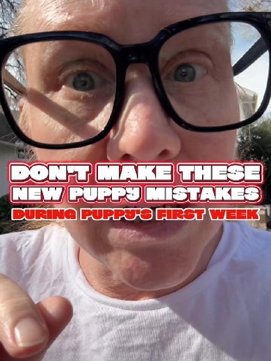 Calm Puppy Training: A Simple Plan for Week One