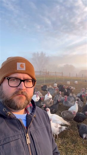 Hey Turkeys on Instagram: "Mist opportunities ☁️👨🏻‍🌾🦃🤣 #dadjokes #funny #turkey #farm #comedy"