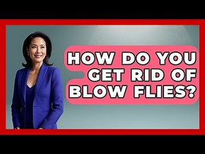 How Do You Get Rid Of Blow Flies? - Insects and Invaders