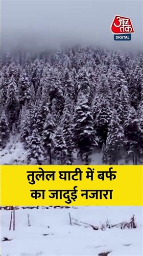 Tulail Valley: तुलेल घाटी में बर्फ का जादुई नजारा #viral #shorts #trending #ATShorts