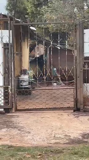 Nos llegó este video , en la imagen vemos a un perro atado bajo lluvia y frío, atado toda su vida 😭 | Protección Animal Amambay