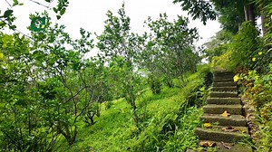 Panoorin kung paano inaalagaan ng The Apiary Mountain Camp and Farm ang kanilang mga crops — the organic way! #Agripreneur | Agripreneur